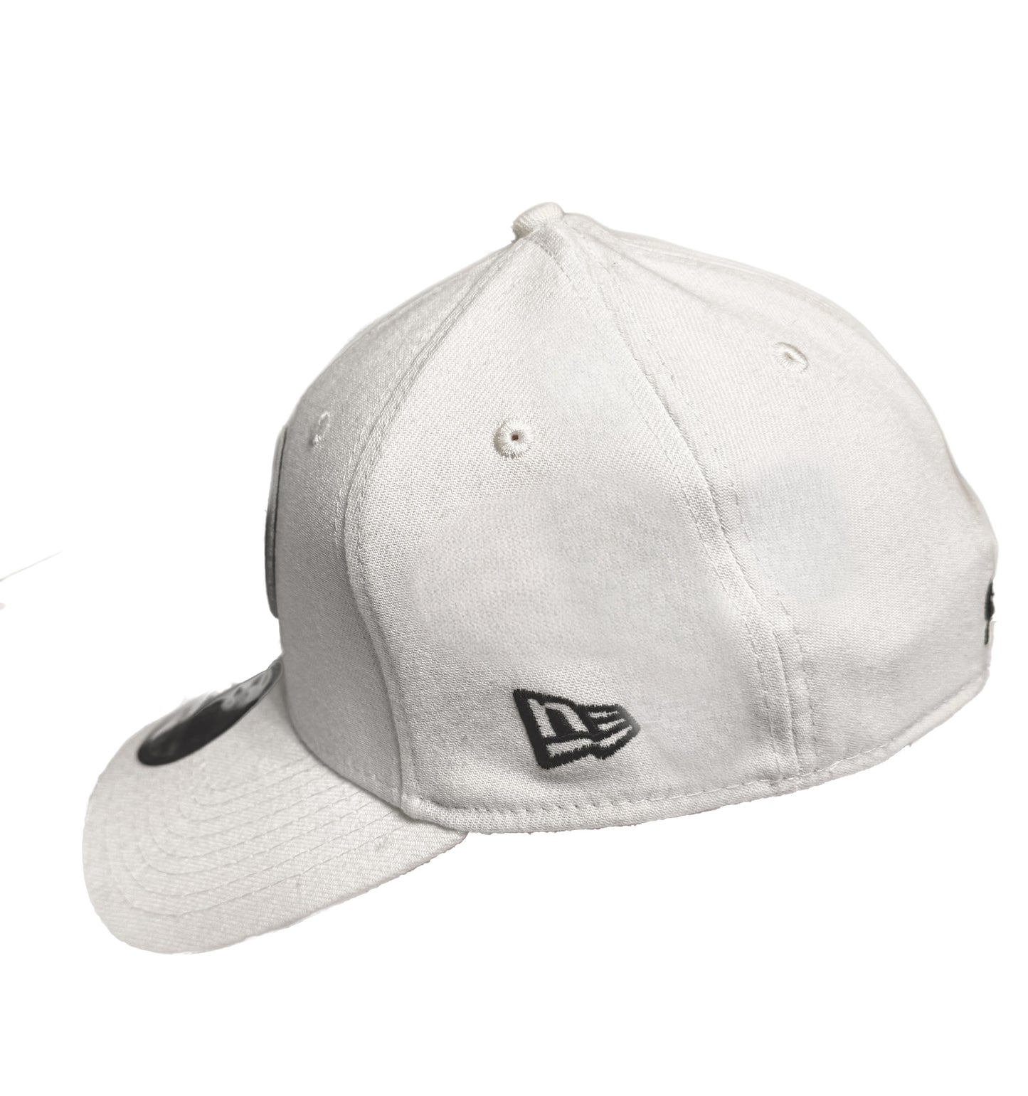 Men's NFL Steelers Flex Fit Hat
