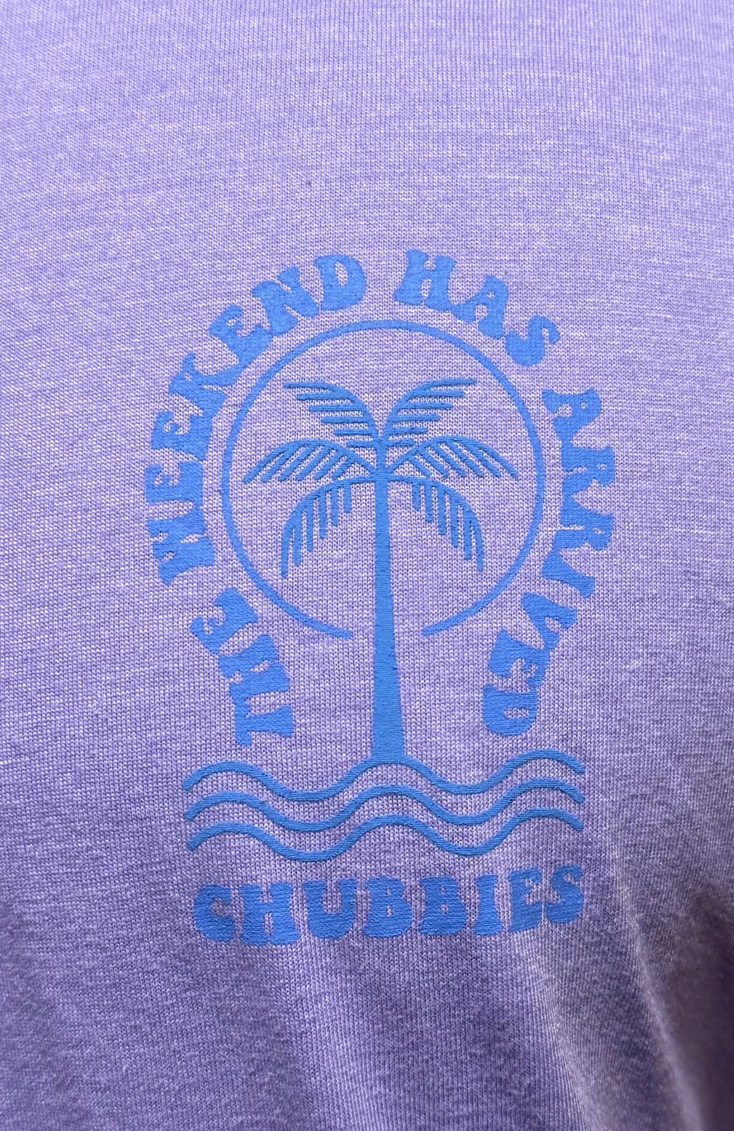 Men’s Chubbies T-Shirt
