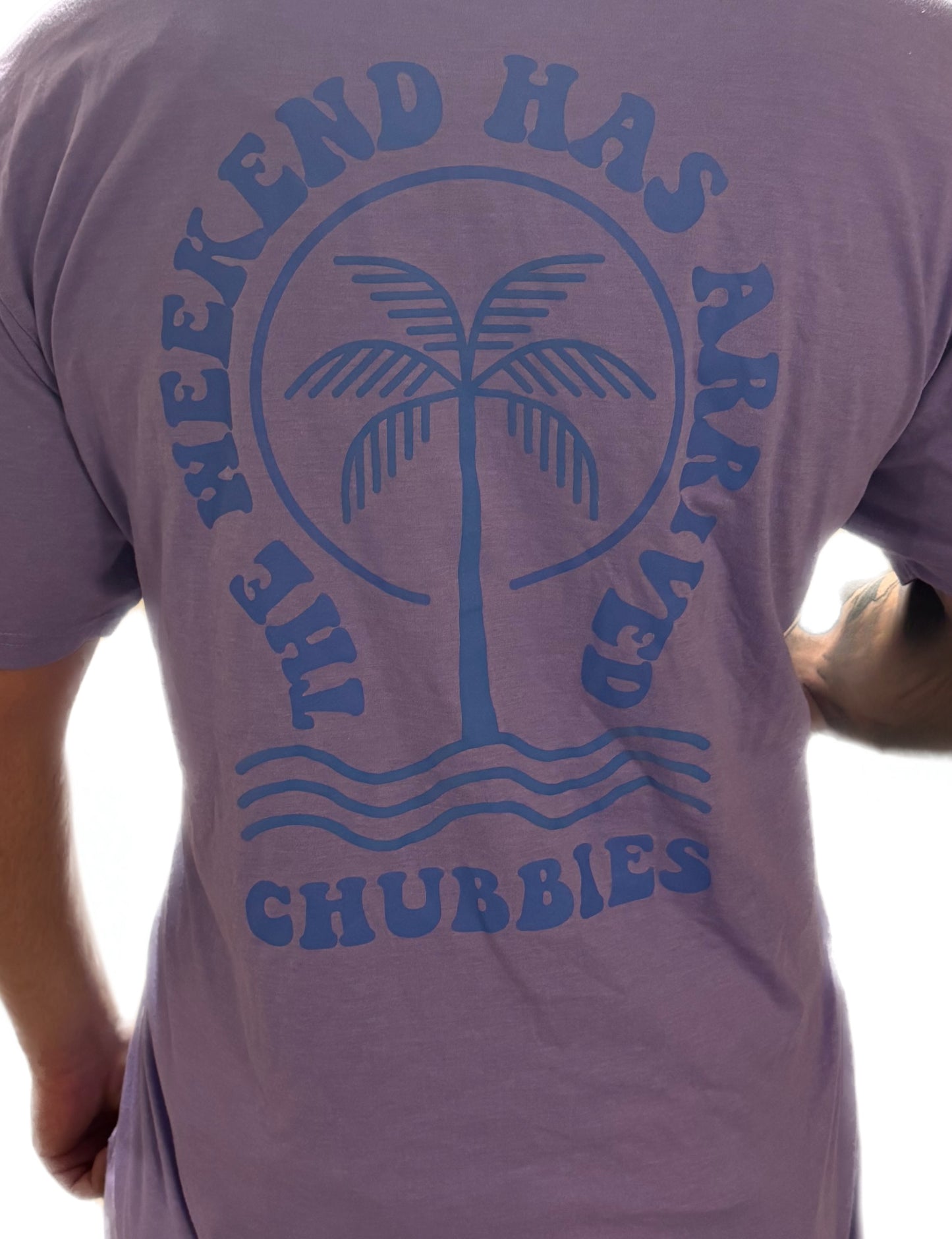 Men’s Chubbies T-Shirt